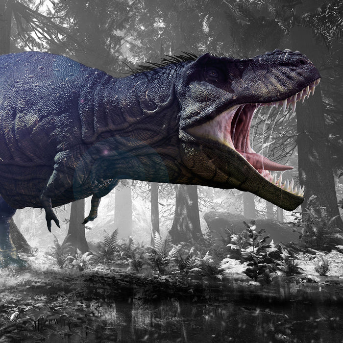 T-Rex Dinosaurier im Wald, Glasbild Quadratisch