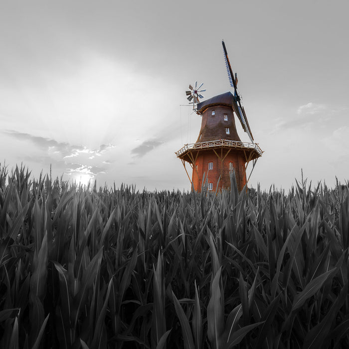 schöne Windmühle auf dem Feld, Glasbild Quadratisch
