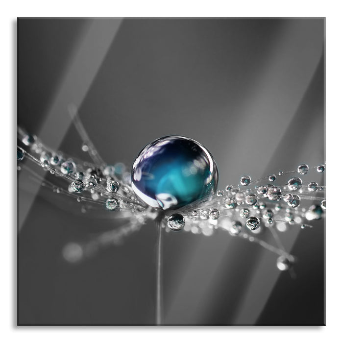 Pixxprint Wassertropfen auf einer Pusteblume, Glasbild Quadratisch