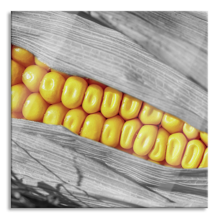 Pixxprint Maiskolben in der Nahaufnahme, Glasbild Quadratisch