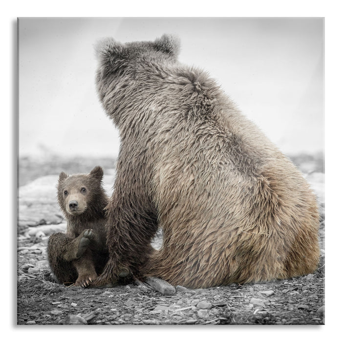 Pixxprint Bär mit Baby nach dem Baden, Glasbild Quadratisch