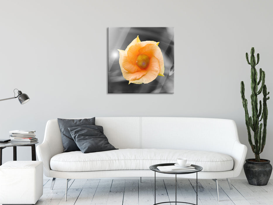 orange Blume im Sonnenlicht, Glasbild Quadratisch