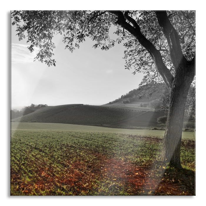 Pixxprint Landschaft im Herbst, Glasbild Quadratisch