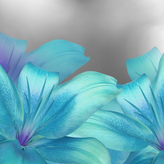 türkise Lilien, Glasbild Quadratisch