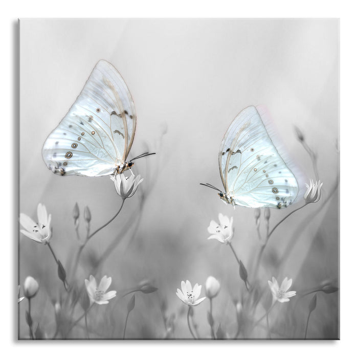 Pixxprint Schmetterling auf kleinen Blumen, Glasbild Quadratisch