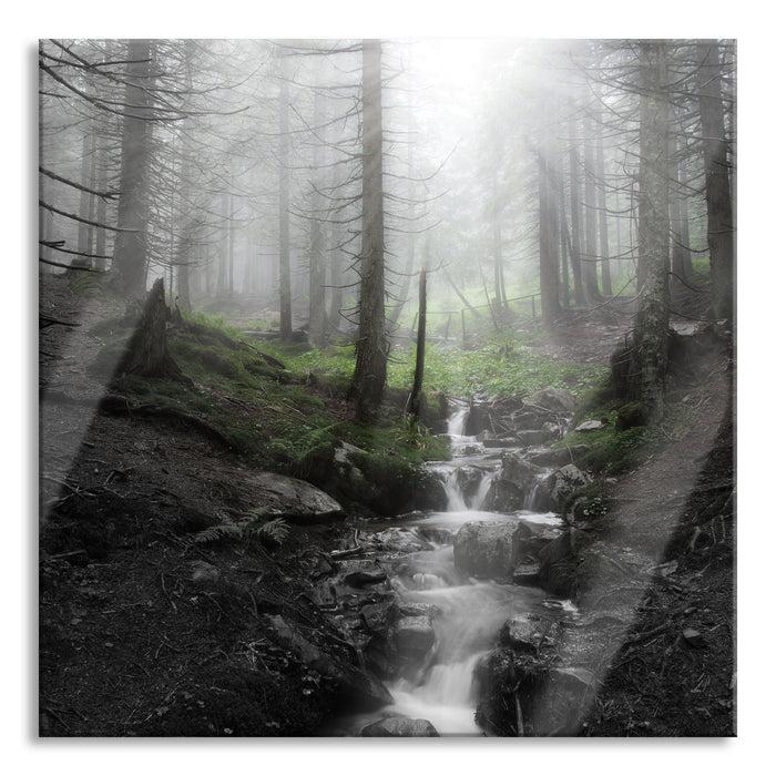 Bach im Wald, Glasbild Quadratisch