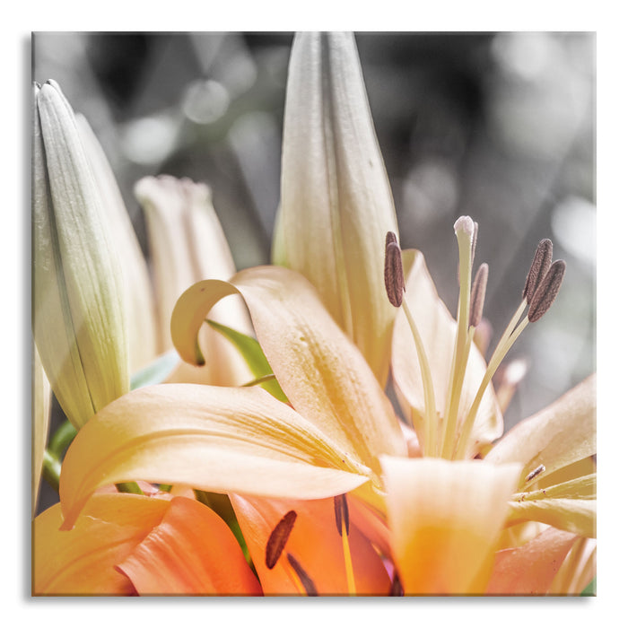 Pixxprint schöne orangene Lilien, Glasbild Quadratisch