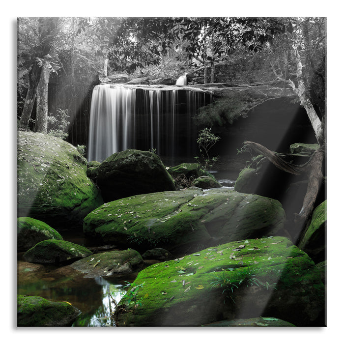 Regenwald in Thailand, Glasbild Quadratisch