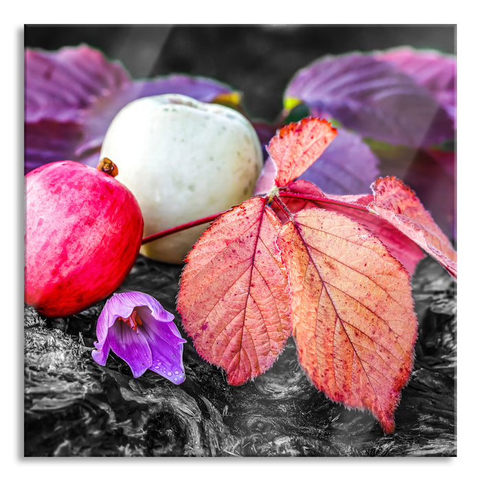 Pixxprint Äpfel und Blätter im Herbst, Glasbild Quadratisch