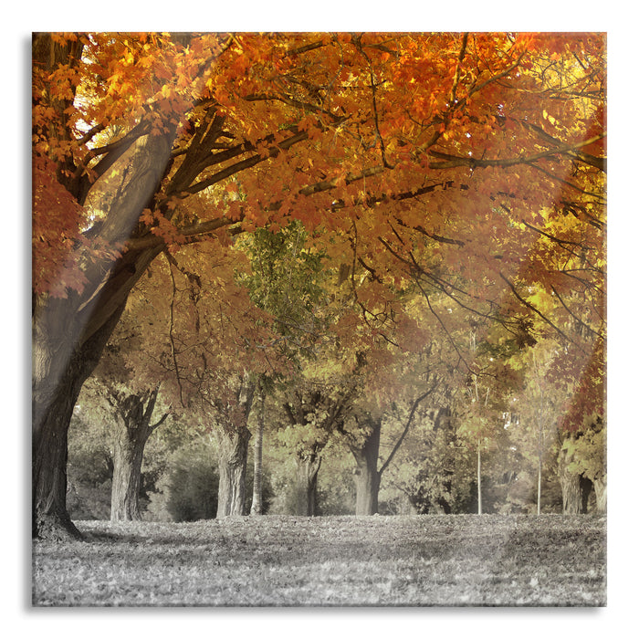 Pixxprint schöne Herbstlandschaft, Glasbild Quadratisch