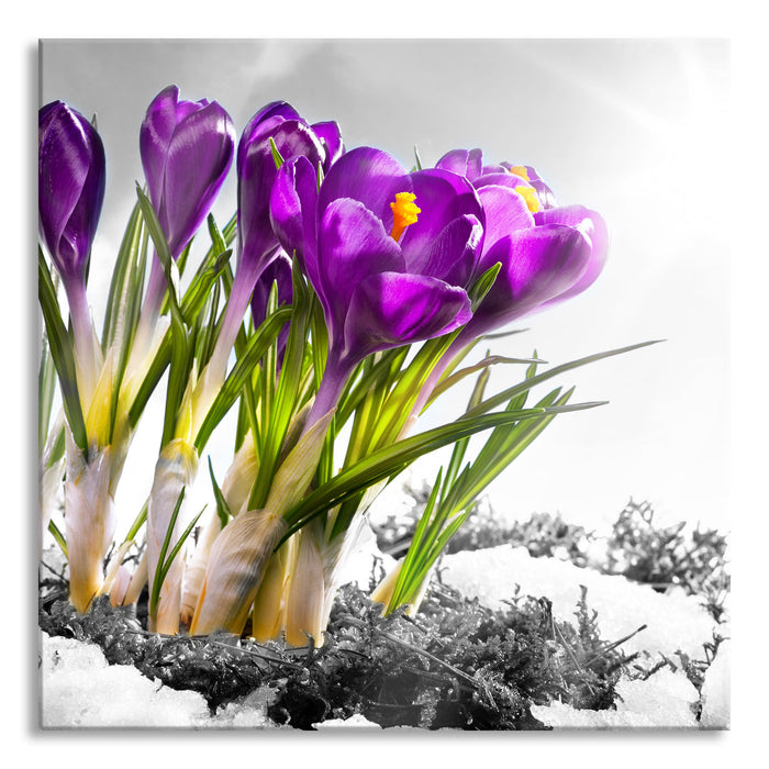 Kunst Frühling florwer Hintergrund, Glasbild Quadratisch