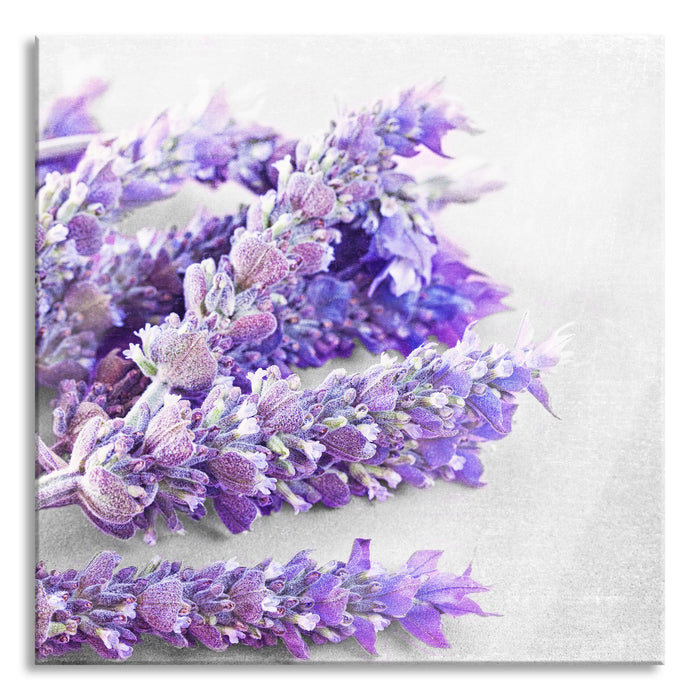 Pixxprint getrockneter Lavendel, Glasbild Quadratisch