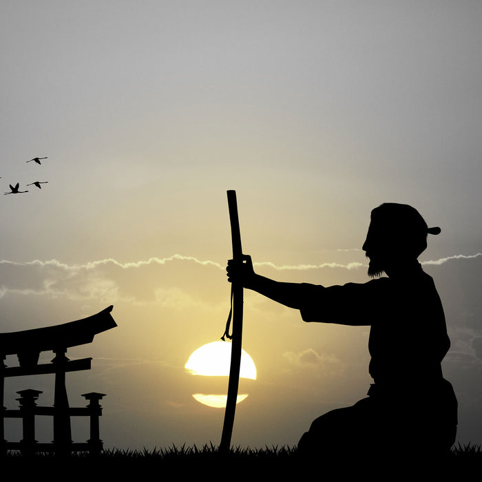 Samurai-Meister vor Horizont, Glasbild Quadratisch