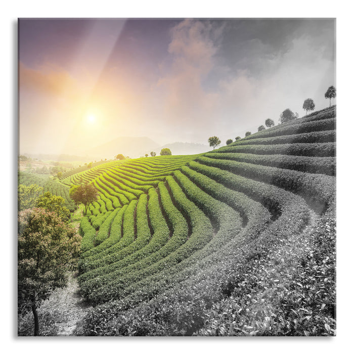 Pixxprint Japanische Treppenfelder, Glasbild Quadratisch