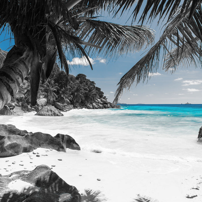 Palmenstrand Seychellen, Glasbild Quadratisch