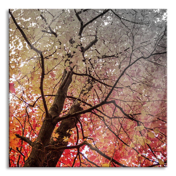 Feurige Herbstblätter, Glasbild Quadratisch