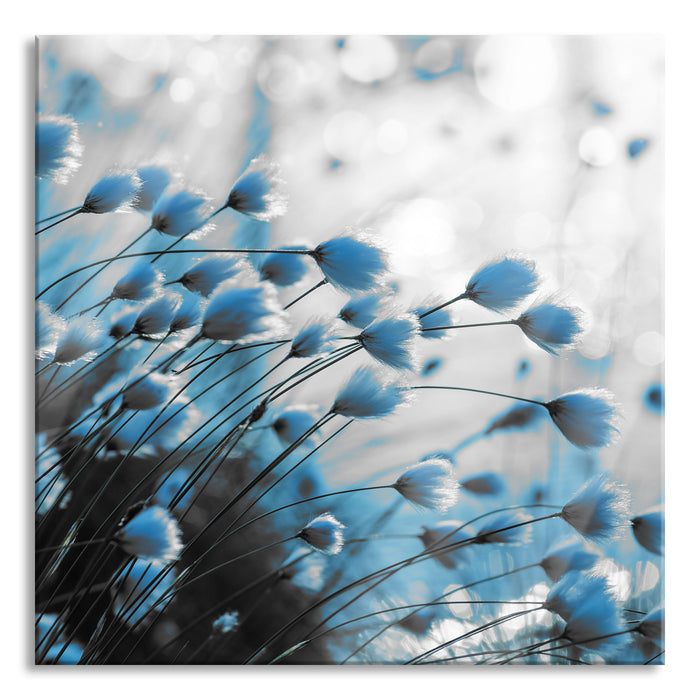 Pixxprint Wollgras am See, Glasbild Quadratisch