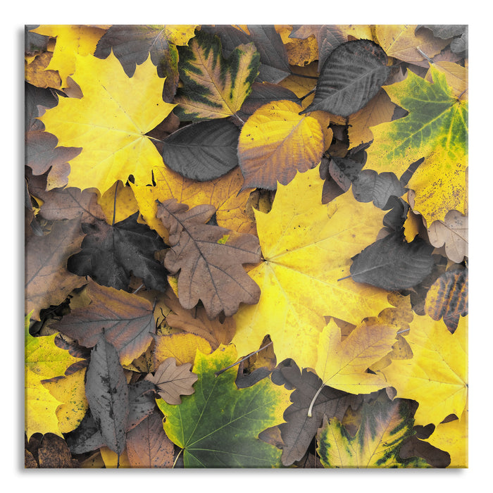 Herbstblätter, Glasbild Quadratisch