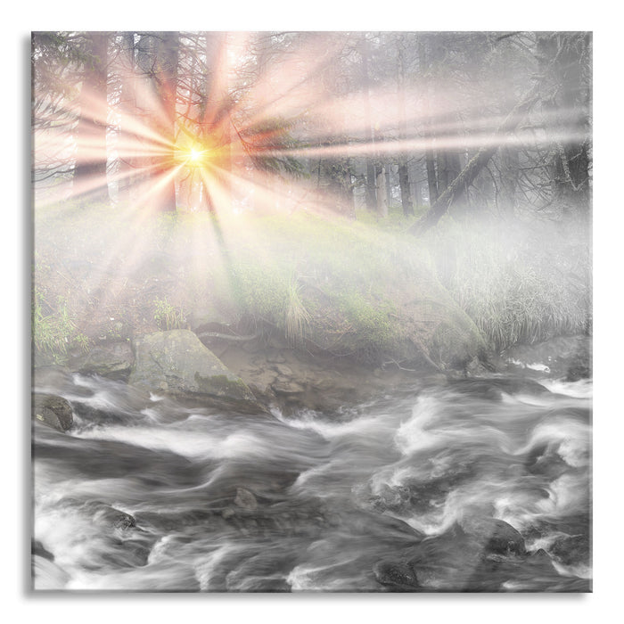 Nebeldickicht im Wald, Glasbild Quadratisch