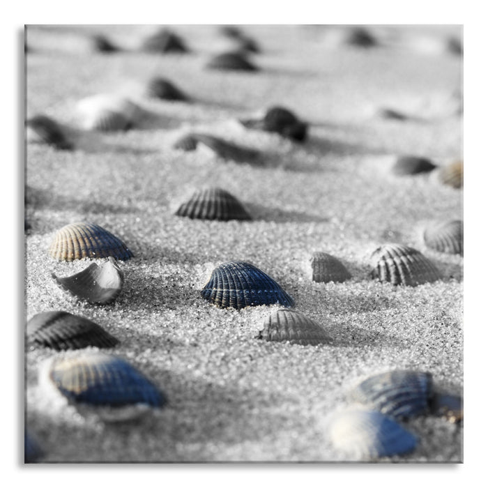Pixxprint Muscheln im Sand, Glasbild Quadratisch