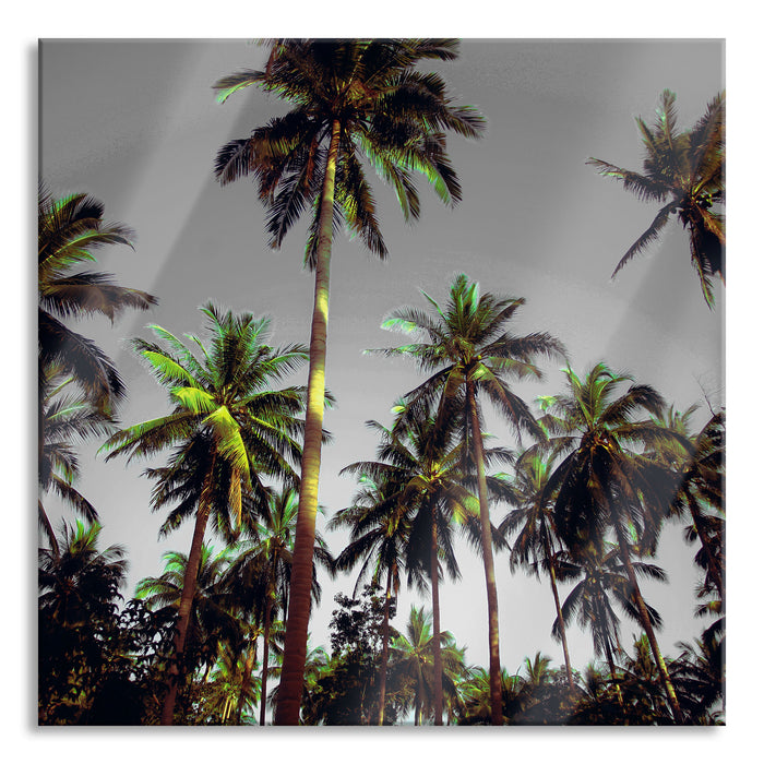 Pixxprint Tropische Palmen, Glasbild Quadratisch