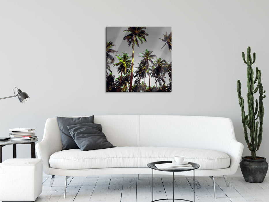 Tropische Palmen, Glasbild Quadratisch