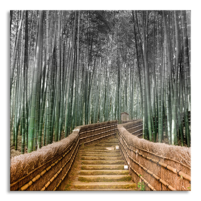 Pixxprint Kyoto Japan Bambuswald, Glasbild Quadratisch