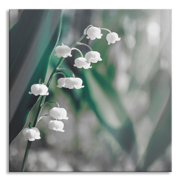 Pixxprint Blühende Maiglöckchen, Glasbild Quadratisch