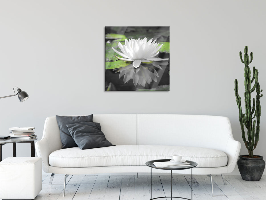 Weiße Lotusblume im Wasser, Glasbild Quadratisch