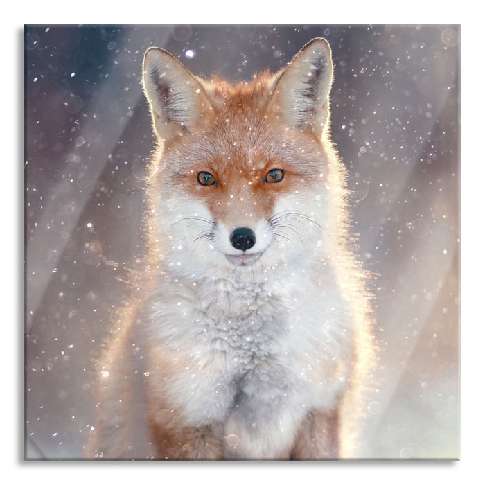 Pixxprint Roter Fuchs im Winter, Glasbild Quadratisch