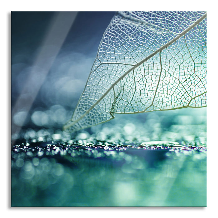 Nahaufnahme weißes Blattgerüst im Regen, Glasbild Quadratisch