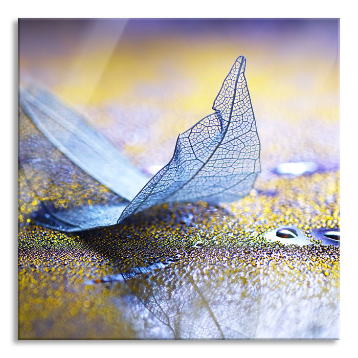 Pixxprint Nahaufnahme blaues Blattgerüst im Regen, Glasbild Quadratisch