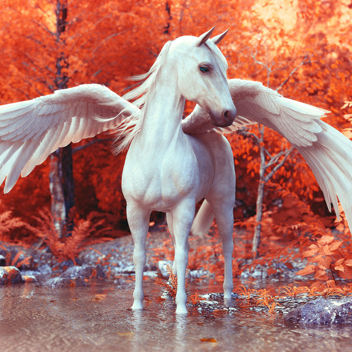 Pegasus im Fluss eines Herbstwaldes, Glasbild Quadratisch