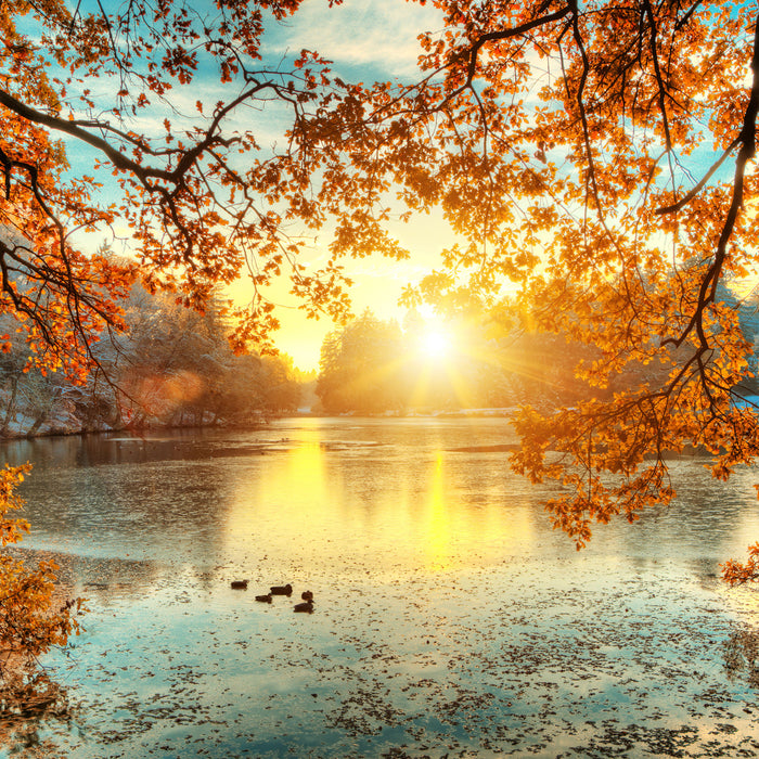 Herbstbäume um See bei Sonnenuntergang, Glasbild Quadratisch