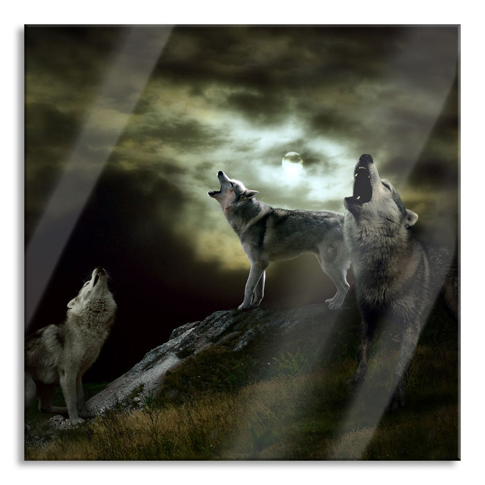 Heulende Wölfe bei Mondschein, Glasbild Quadratisch