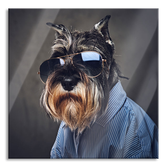 Lustiger Hund mit Hemd und Sonnenbrille, Glasbild Quadratisch