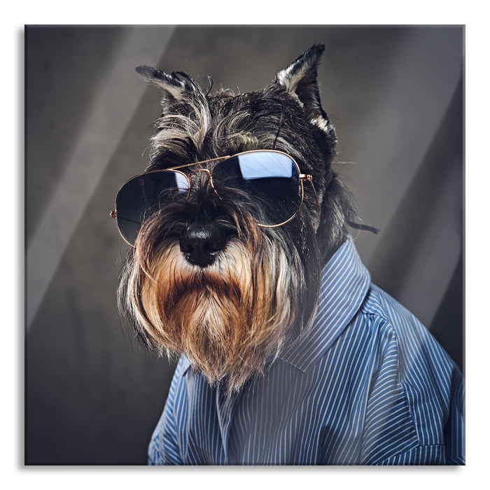 Pixxprint Lustiger Hund mit Hemd und Sonnenbrille, Glasbild Quadratisch