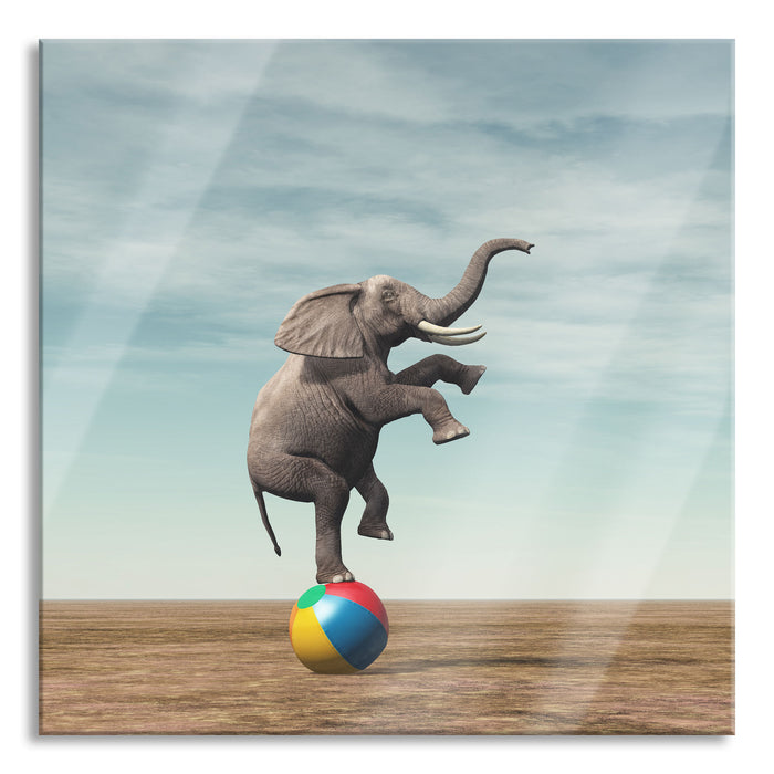Elefant in der Wüste balanciert auf Ball, Glasbild Quadratisch