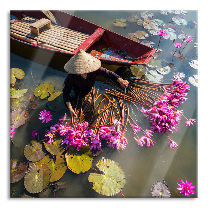 Wasserlilienernte mit Boot in Vietnam, Glasbild Quadratisch