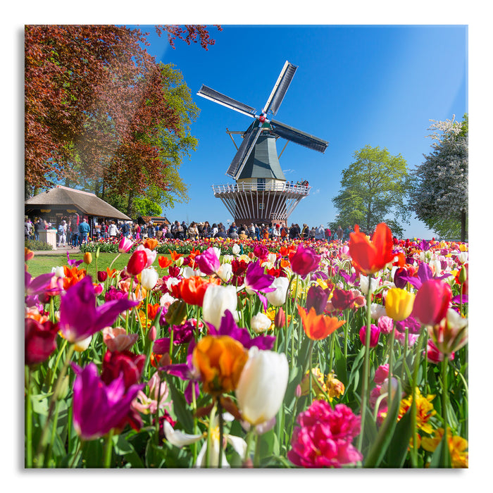 Holländisches Tulpenmeer vor Windmühle, Glasbild Quadratisch
