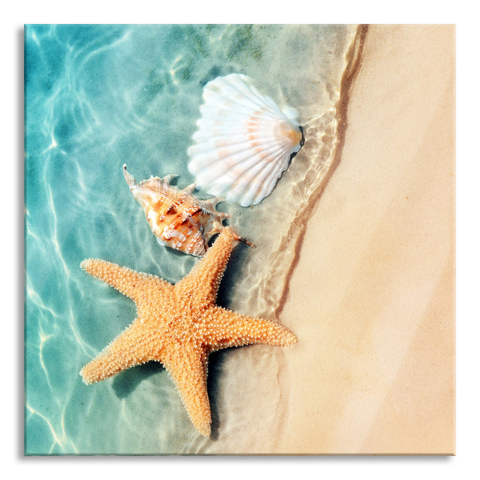 Pixxprint Seestern und Muscheln am Strand, Glasbild Quadratisch