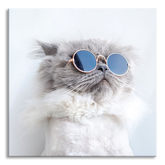 Pixxprint Coole Katze mit runder Sonnenbrille, Glasbild Quadratisch