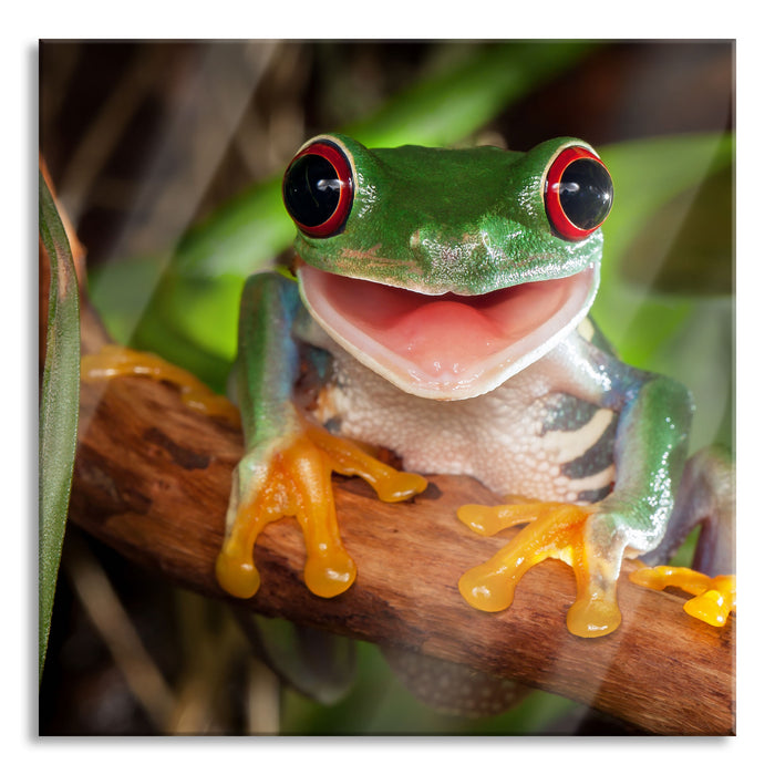 Pixxprint Lachender Frosch mit roten Augen auf Ast, Glasbild Quadratisch