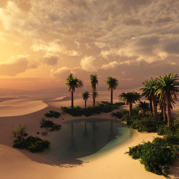 Oase in der Wüste bei Sonnenuntergang, Glasbild Quadratisch