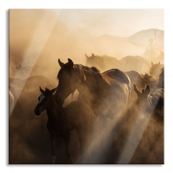 Pixxprint Pferdeherde im Staub bei Sonnenuntergang, Glasbild Quadratisch