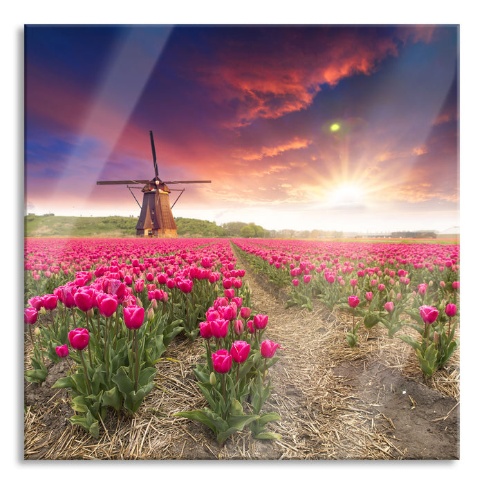 Pixxprint Tulpenfeld mit Mühle bei Sonnenuntergang, Glasbild Quadratisch