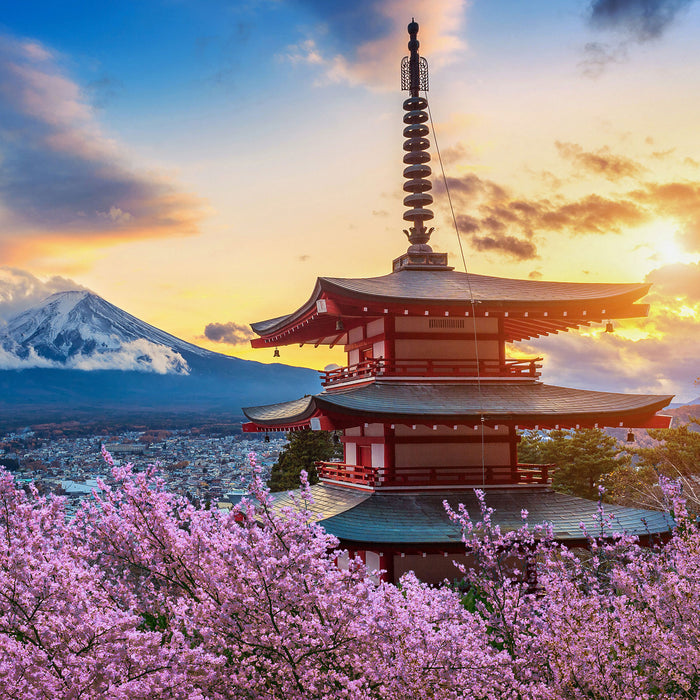 Japanischer Tempel zwischen Kirschblüten, Glasbild Quadratisch