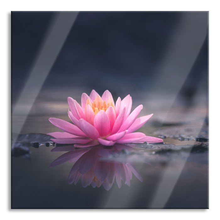 Leuchtende Lotusblüte auf grauer Pfütze, Glasbild Quadratisch