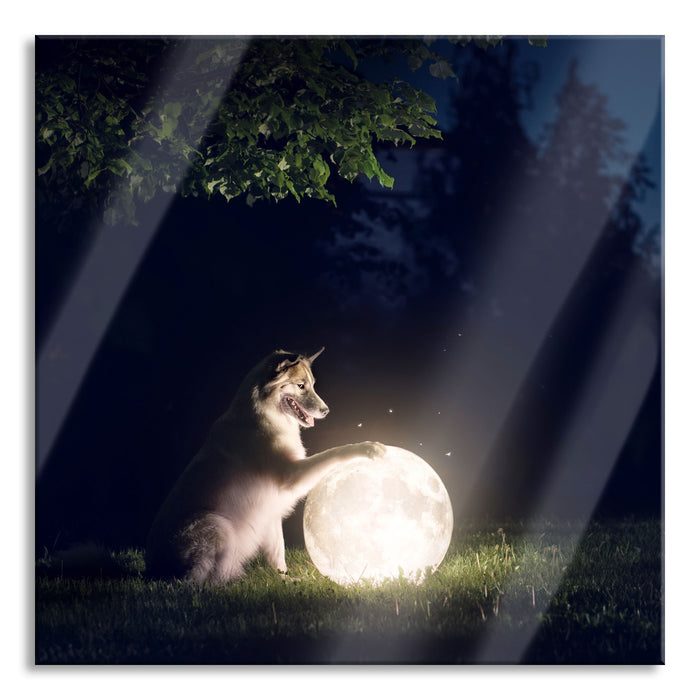 Hund mit leuchtendem Mond bei Nacht, Glasbild Quadratisch