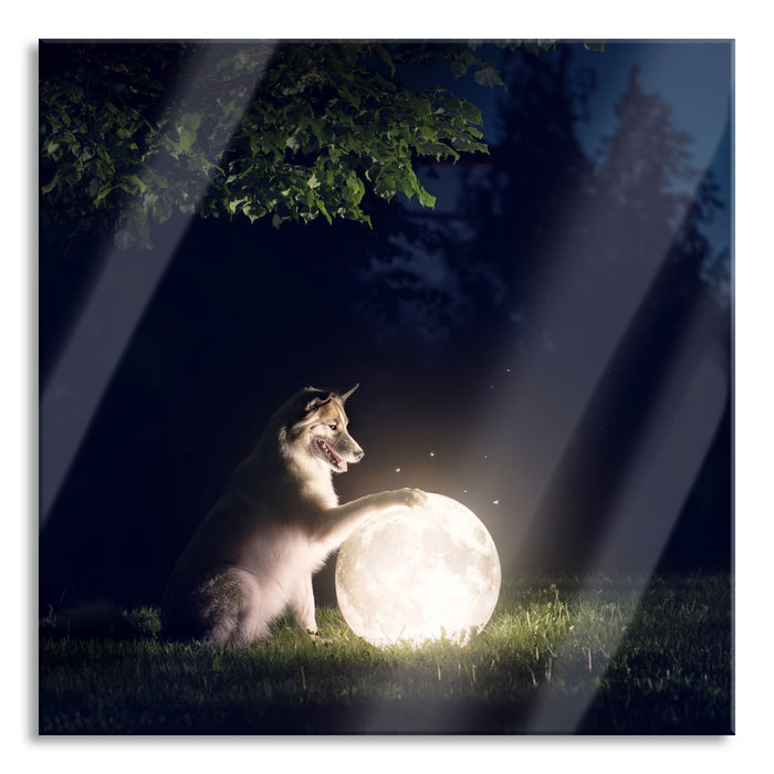 Pixxprint Hund mit leuchtendem Mond bei Nacht, Glasbild Quadratisch